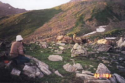 Туры под перевалом Заячьи Ушки