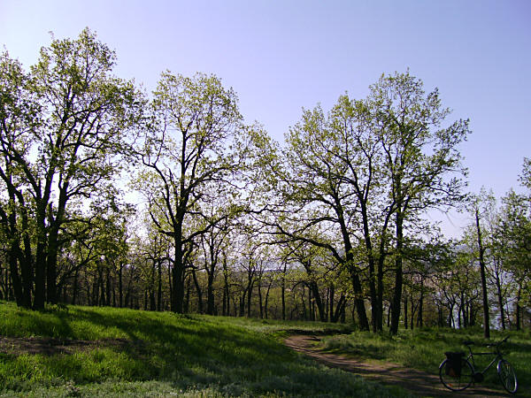 Парк набережной Тольятти