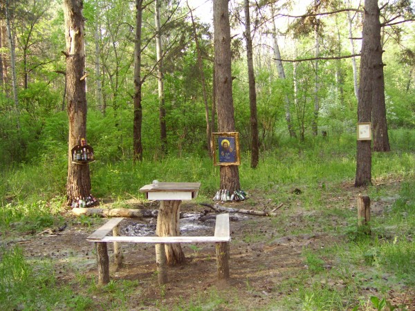 Лесной скит. Лес Тольятти