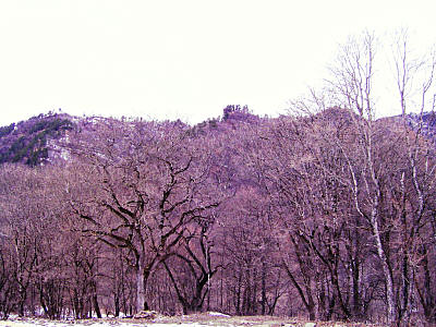 Утёс Кораблик над Буково