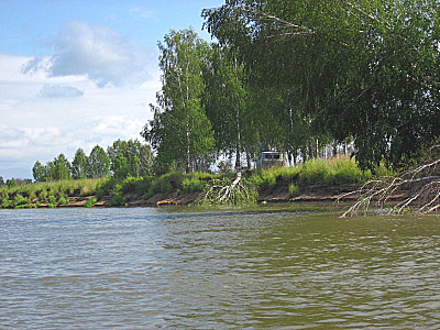 Берега Чулыма вблизи Щербаково