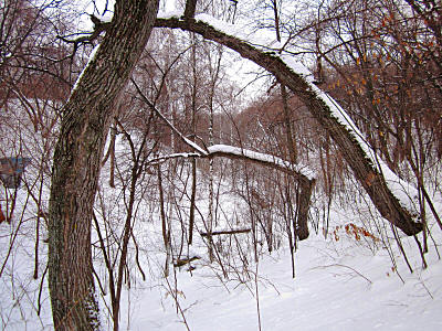 Ручей в урочище Гусиха на Волге