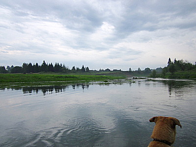 Деревня Верх-Четск Тюхтетского района