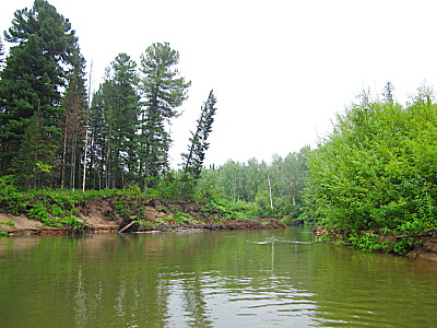 Река Четь в тайге Тюхтетского района