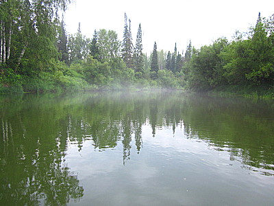 Река Четь в тайге Тюхтетского района