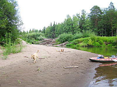 На косе реки Четь в тайге Тюхтетского района