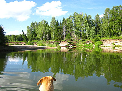 Яр на реке Четь в тайге Тюхтетского района
