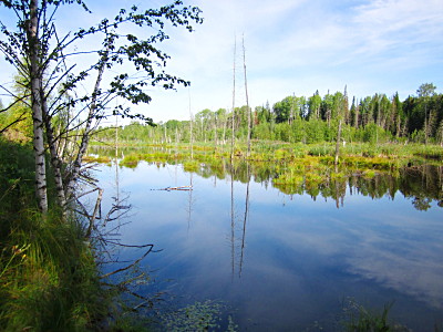 Озёра у заброшенной железной дороги в Тегульдет