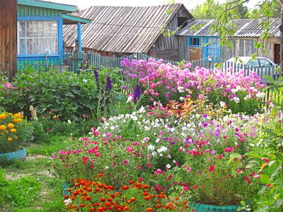 Палисадник усадьбы Николая Герасименко в посёлке Сплавной