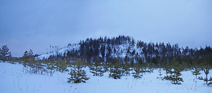 Кучуры в Ульяновской области. Фото Дмитрия Протасова