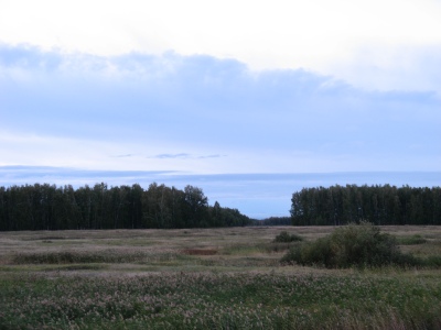 в Барабинских степях