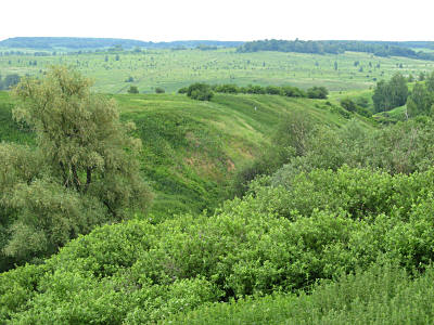 Аскульский овраг, Самарская Лука
