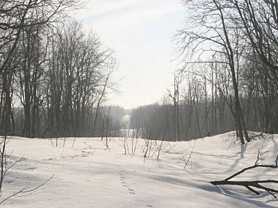 На вершине Яблоневого хребта над посёлком Яблоневый овраг