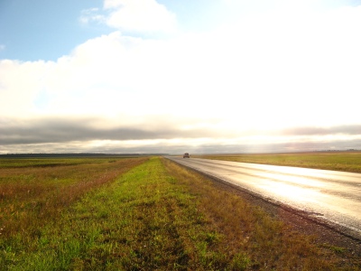 современная дорога Бердюжья