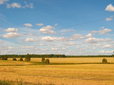 в Курганской области