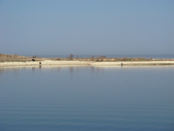Бухта села Новодевичье