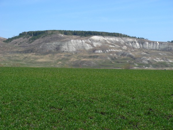 Подвальские террасы