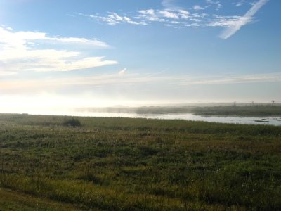 луга в Барабинских степях