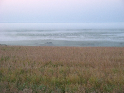 болота Барабинской степи