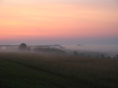 туман над Барабинской степью