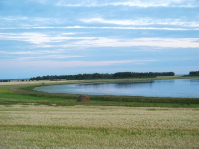 озёра Бердюжья