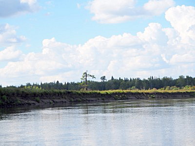 Луга реки Чулым