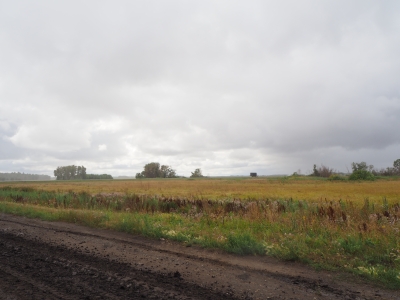 Барабинские степи