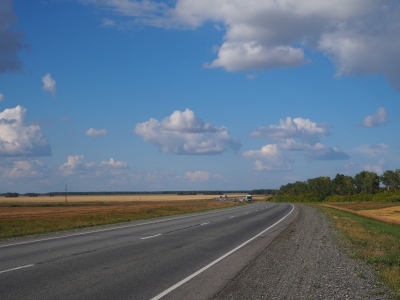 М5 в Барабинской степи