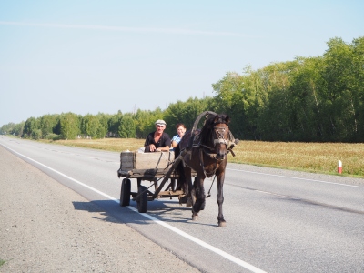 на тарантасе по М5 у села Медвежье Щукинского района