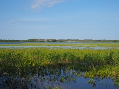 озеро у деревни Чесноки