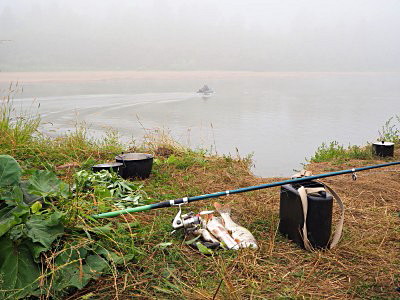 Утро туманное над рекой Чулым под Бирилюссами
